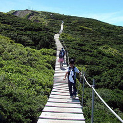 大山登山