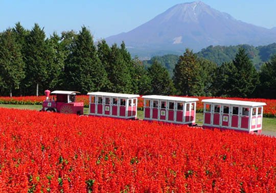 とっとり花回廊 ©鳥取県 とっとり花回廊.jpg