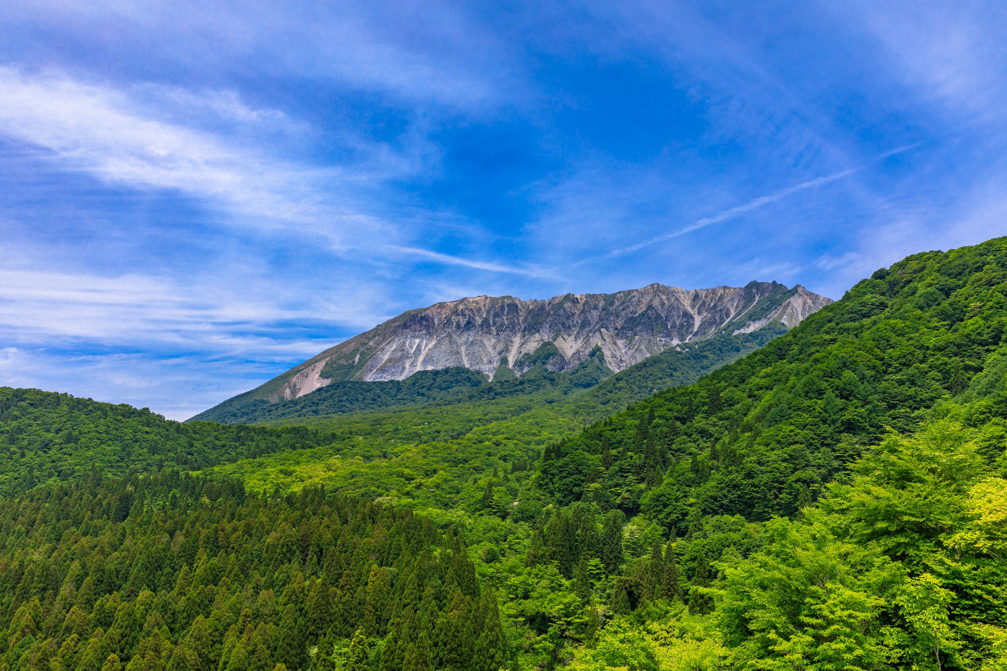大山の初夏
