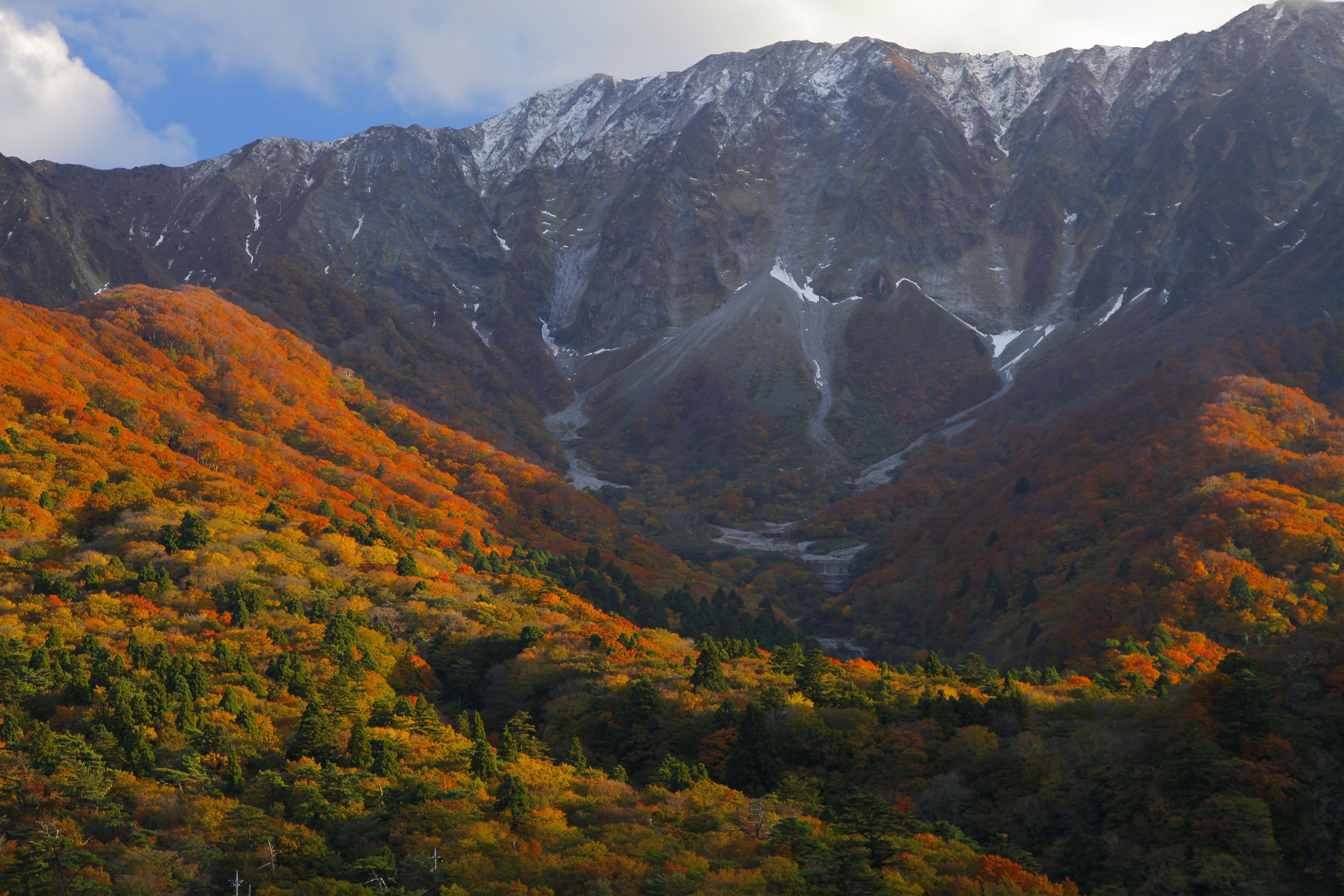 秋大山_main.jpg