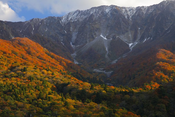 秋大山_main.jpg